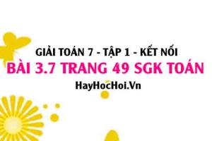 Giải bài 3.7 trang 49 Toán 7 Tập 1 SGK Kết nối tri thức